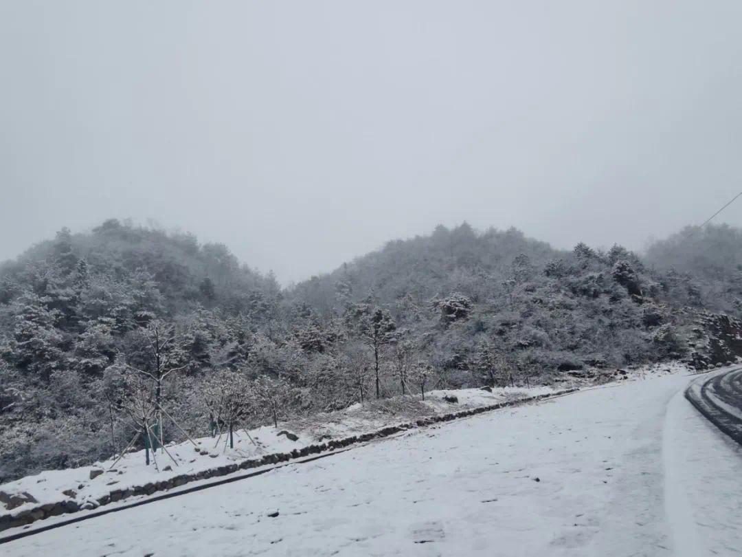 庐山雪景——感受大自然的美丽 - 知乎