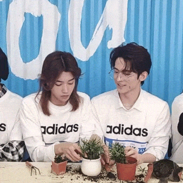 常华森x孙滢皓 :华滢月下更有原耽照进现实桥段让cp粉狂欢不已▼秒变