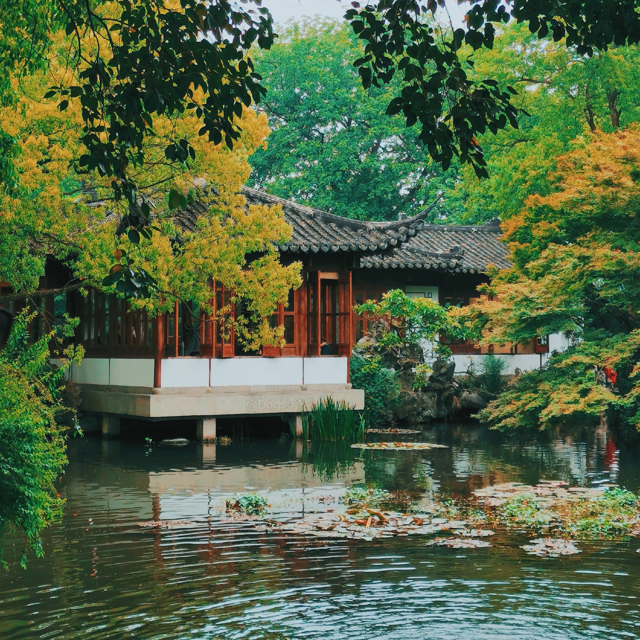 西湖畔的宝藏景点,不用去苏州也能看园林,精致幽雅引人入胜__凤凰网