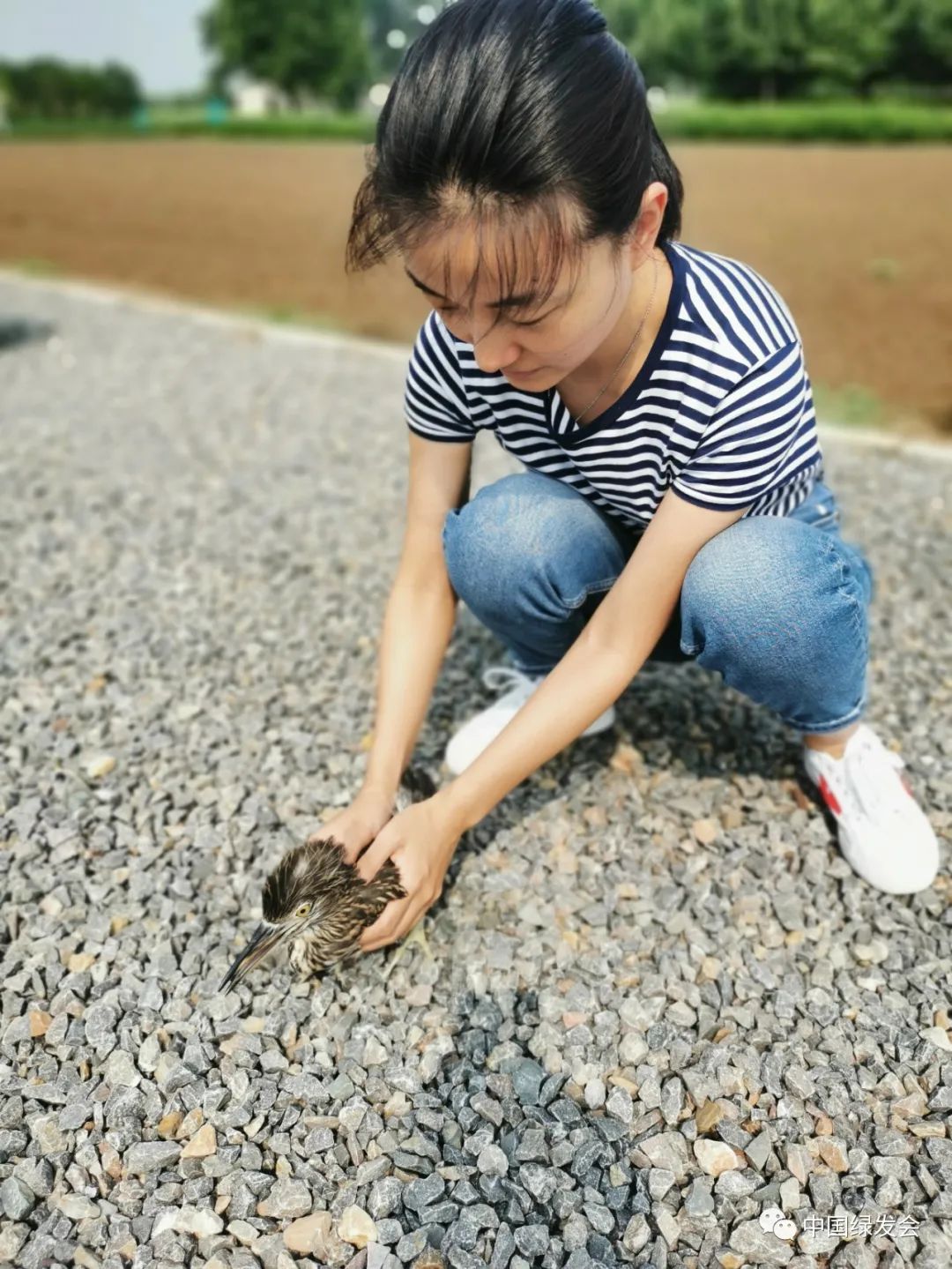 志愿者在行动
