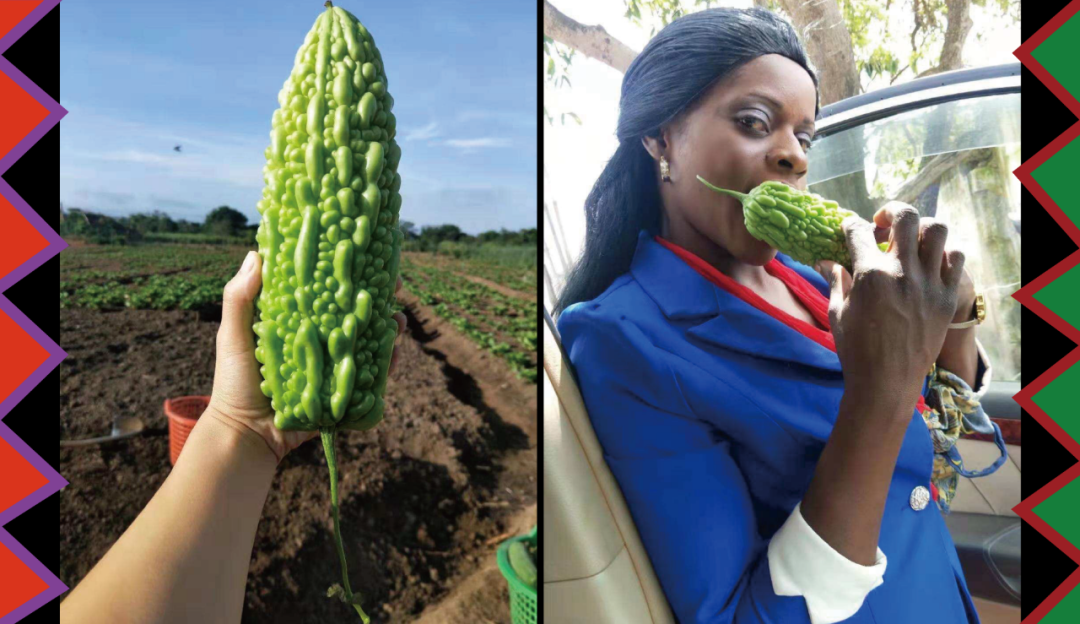 我们联络了非洲的农场主,知道了发财的奥秘