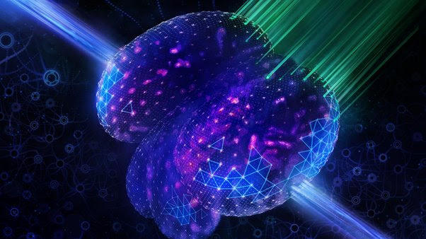 人工智能帮助最好的显微镜更好地观察、更快地工作并处理更多数据
