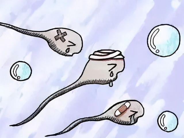 畸形精子影响生育吗？