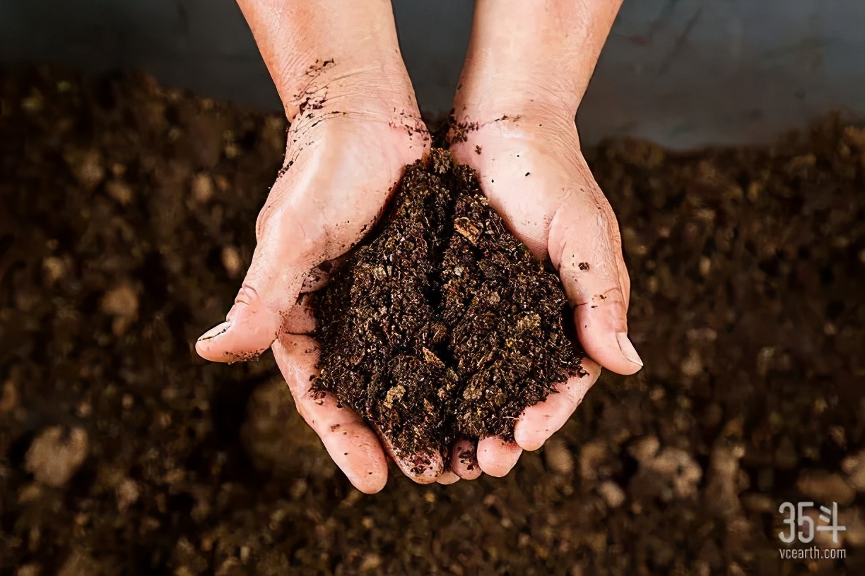 25家海外土壤保护公司盘点——守护土壤健康,解决方案就在你脚下
