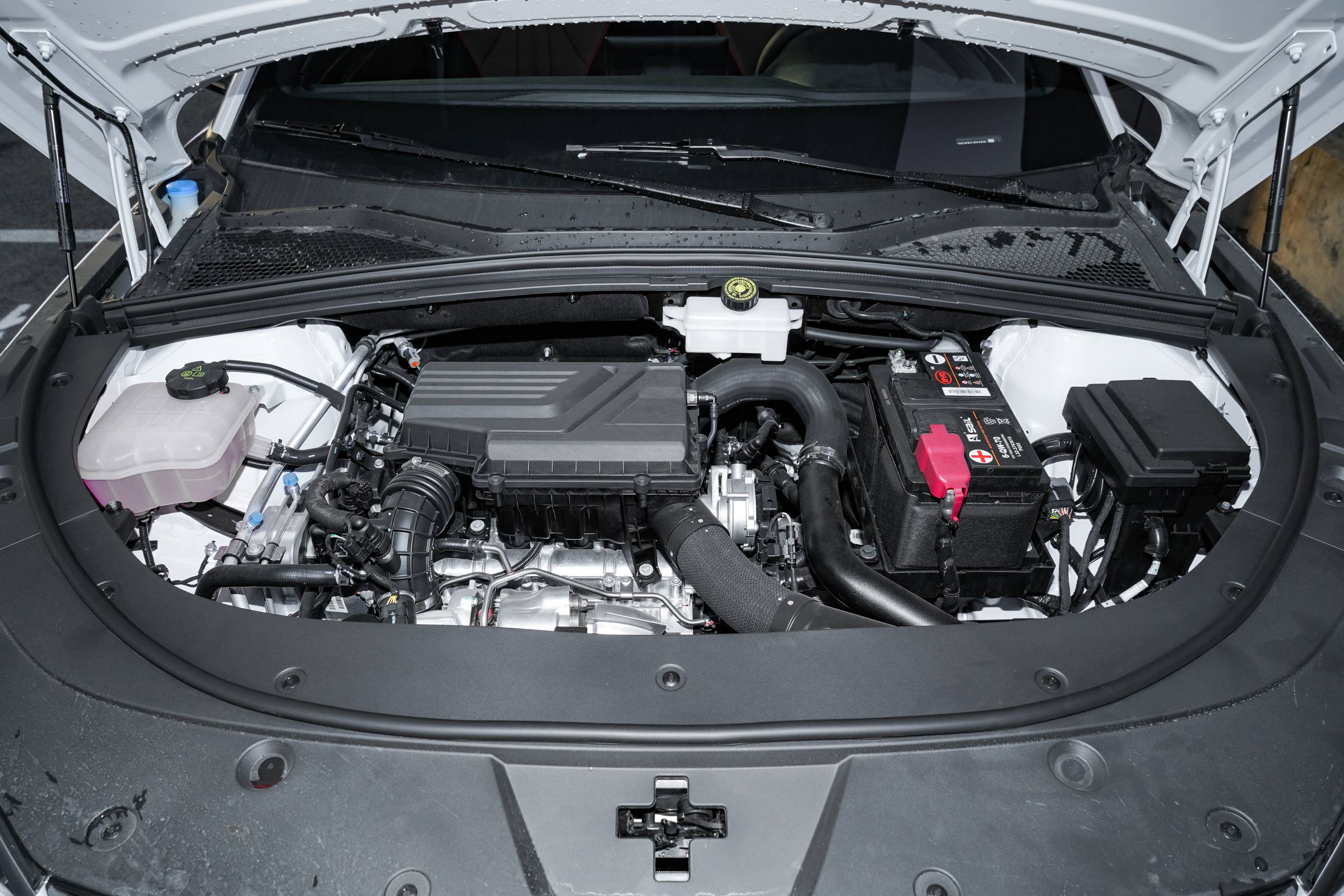 电动巨人比亚迪是燃油侏儒宋plus超乎预期