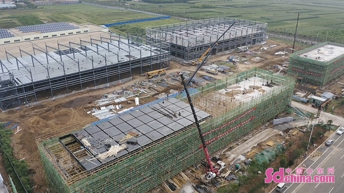 谋发展抓民生守红线 青岛市即墨区金口镇高质量发展奏出“最强音”（即墨民生即墨论坛）即墨金口镇新规划最新消息，