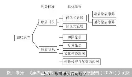 图片来源《康养蓝皮书:中国康养产业发展报告(2020》截图