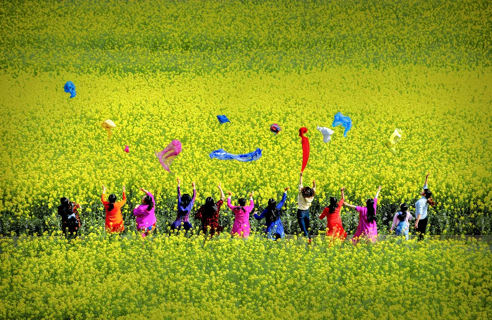 江南油菜花节图片