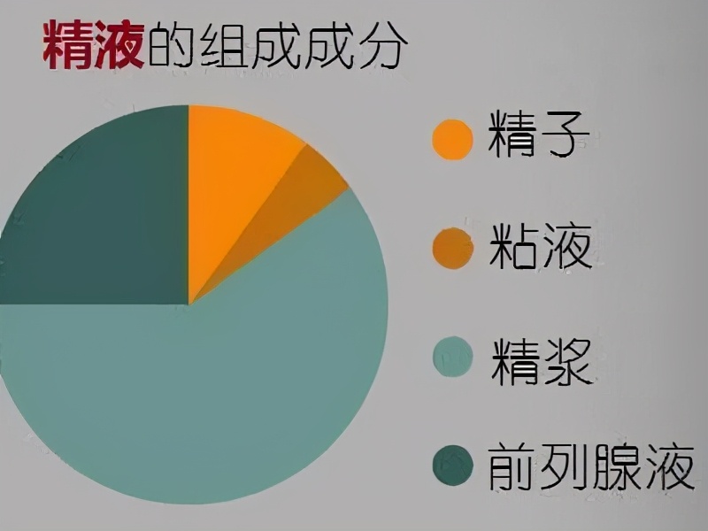 精子佔5%左右,95%以上是水(精漿),水(精漿)的主要成分是由精囊腺分泌