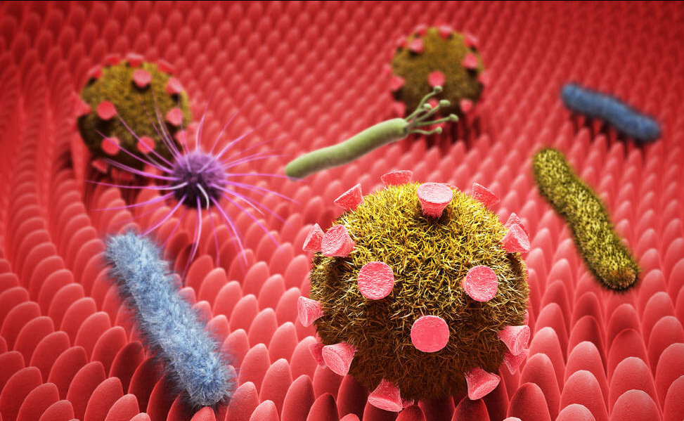 知名肿瘤专家王立根主任:小心这几种致癌病毒!