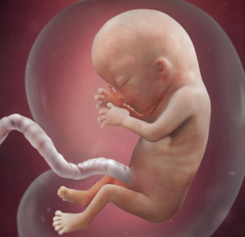 孕妇熬夜时,肚里的胎儿在干嘛?若你知道答案,可能就不敢熬夜__凤凰网