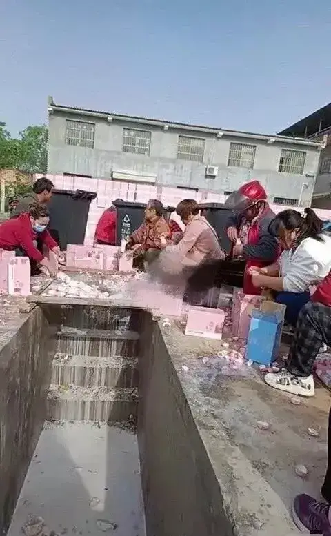 选秀综艺会被"奶死"吗?__凤凰网