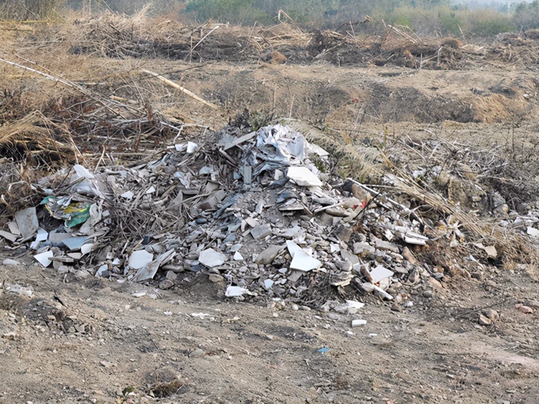 漯河大安镇厦绕村地段的防护林被大面积损毁,生态环境遭受严重破坏 4