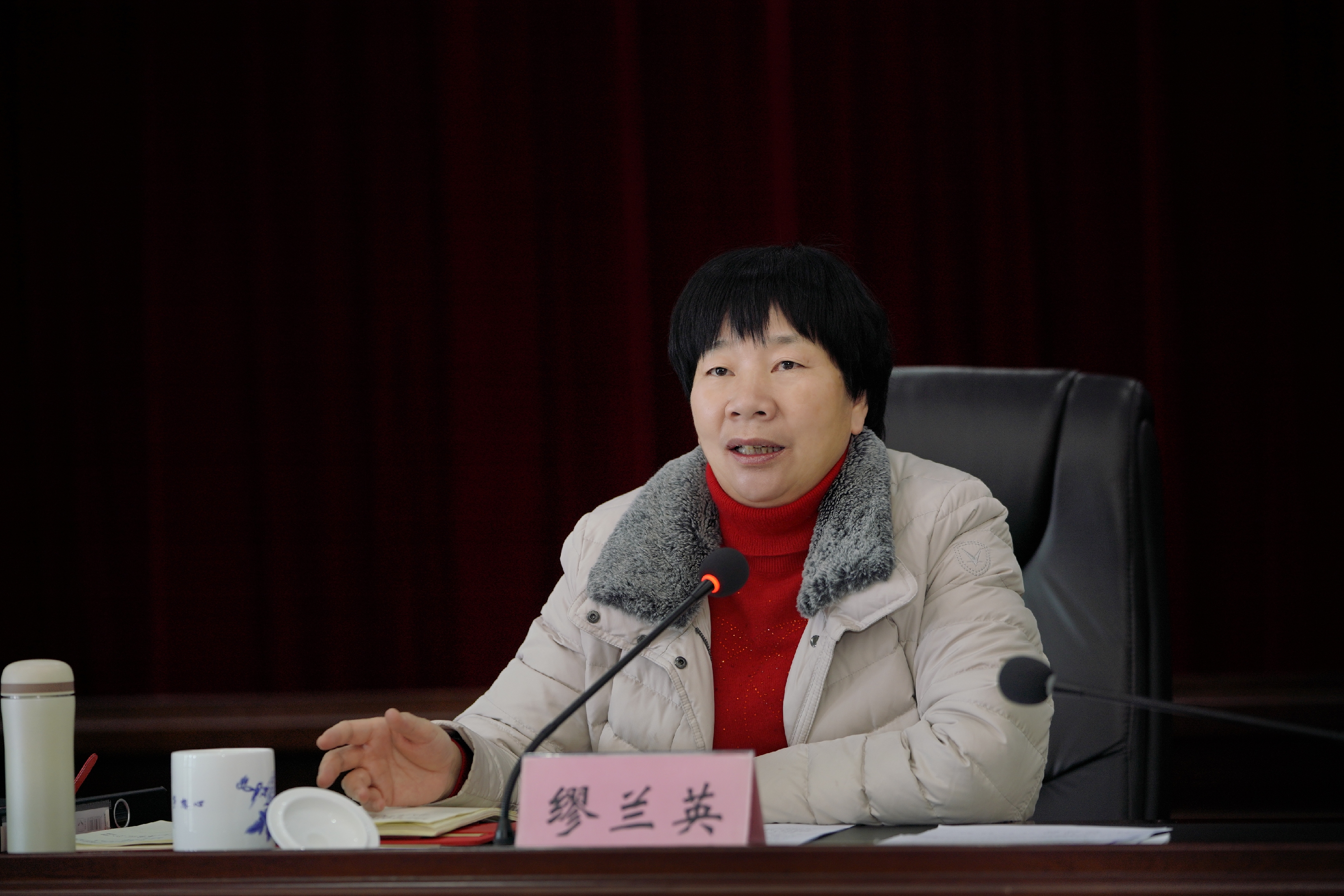 龙南传达学习赣州市领导干部会议,市委常委会(扩大)会议精神