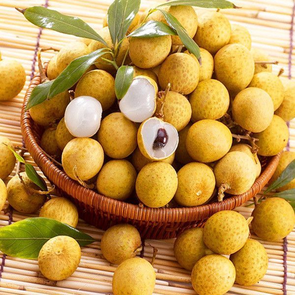 的假种皮,又名桂圆,益智,比目,荔枝奴,木弹,骊珠,燕卵,鲛泪等,新鲜