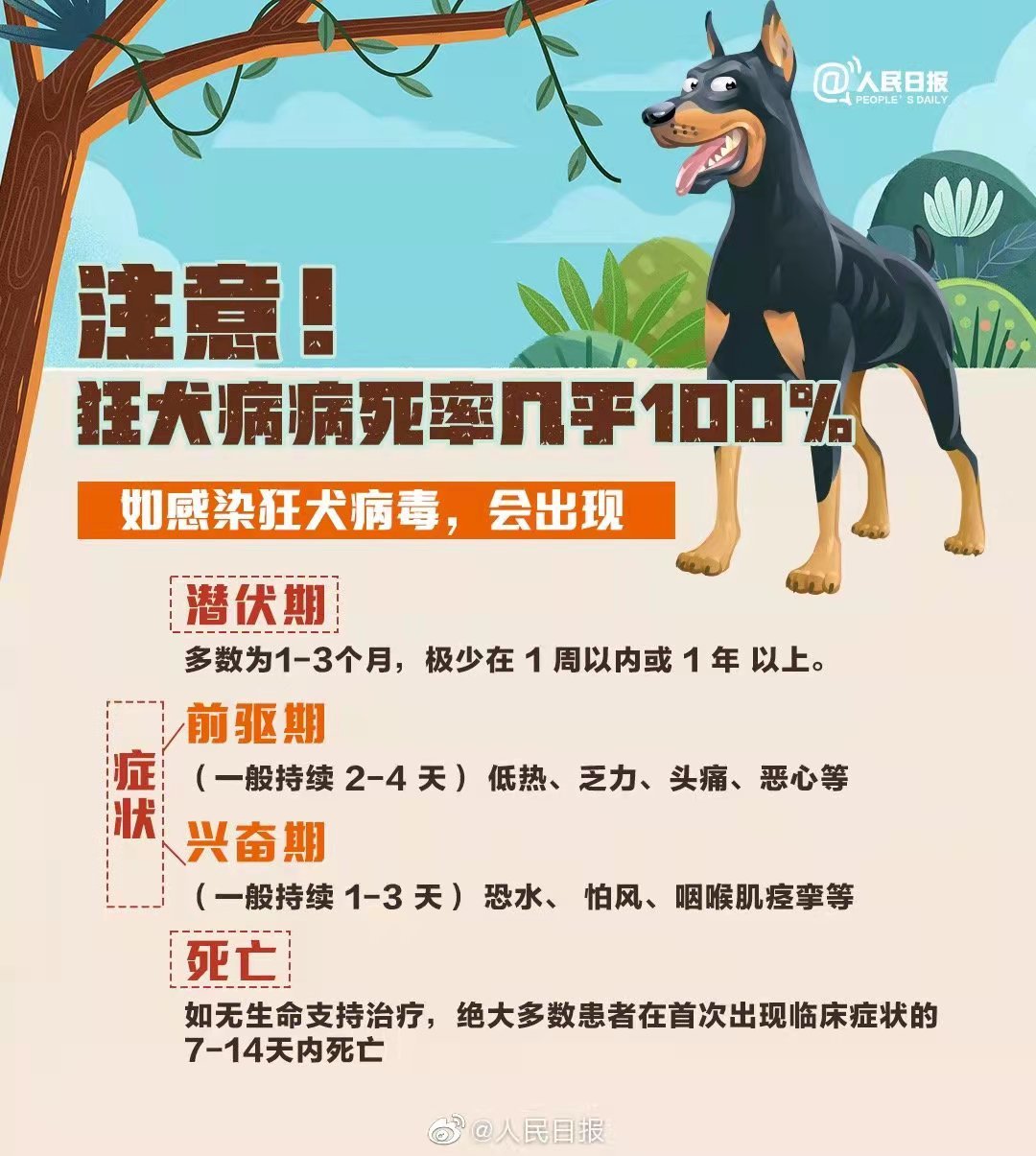 狂犬病病死率幾乎100%