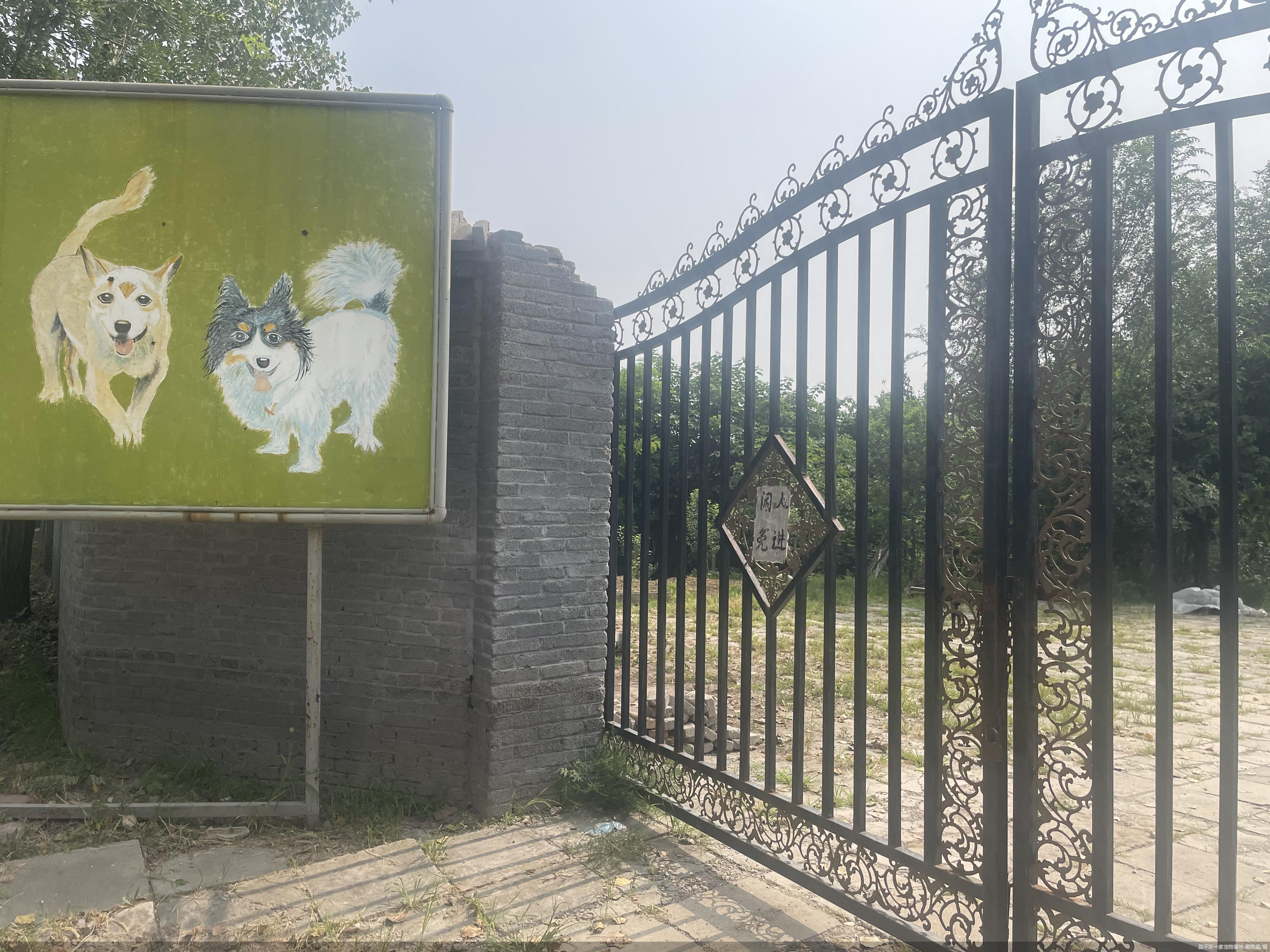 揭秘宠物墓地不火化直接埋墓地无资质价格直逼房价