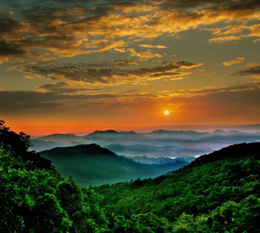 日出山林美景图片图片