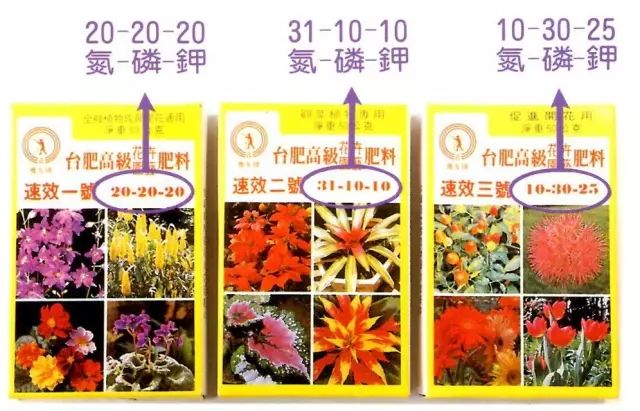 想让植物多开花 除了要光照充足 还要给对肥料