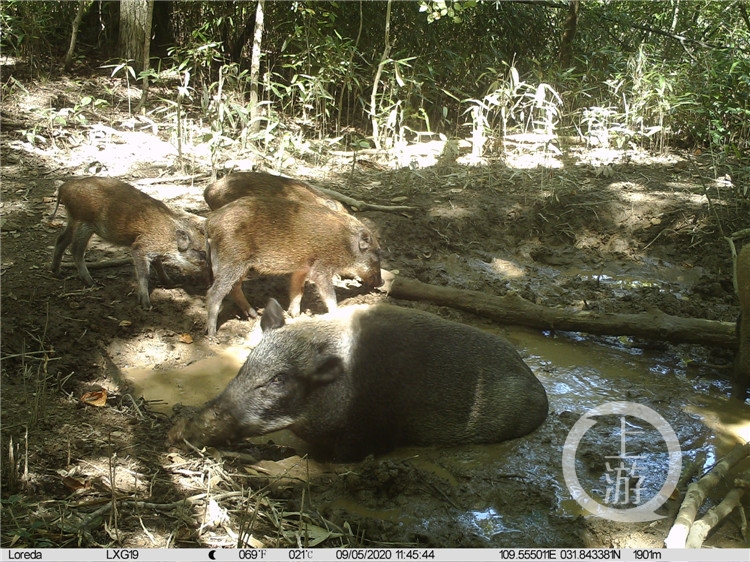 GetAttachment (1).jpg