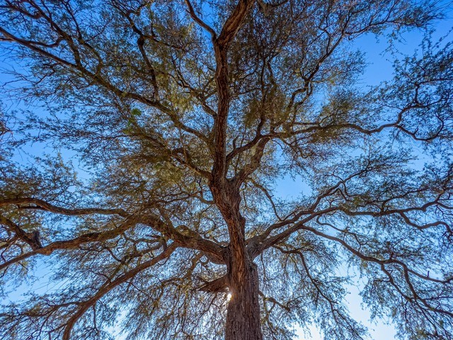 摄影师Austin Mann分享iPhone 13 Pro样片