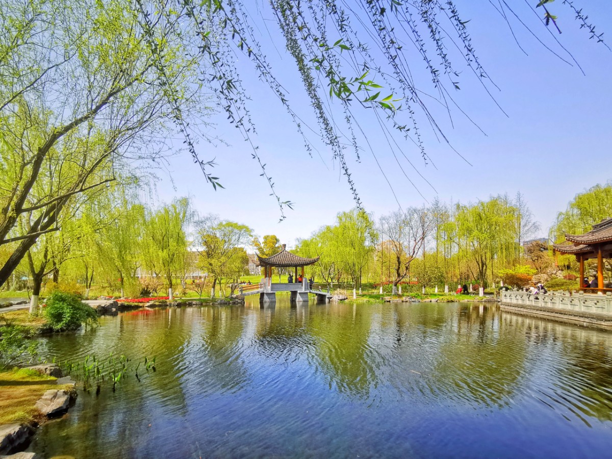 人面桃花相映红‖第四届"春之声"征稿选登第二期风光人像篇