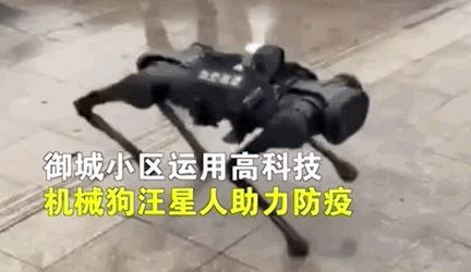 AI|机器狗常州巡逻防疫 网友：给孩子安个狗头吧