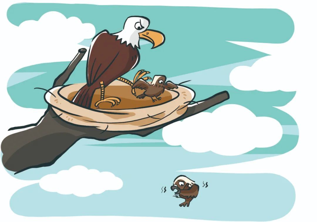 台鋼雄鷹》Wing Stars啦啦隊再去大聯盟台灣日7人名單宣布一粒無法去參加- TSNA體育新聞團隊, image size:1080x756