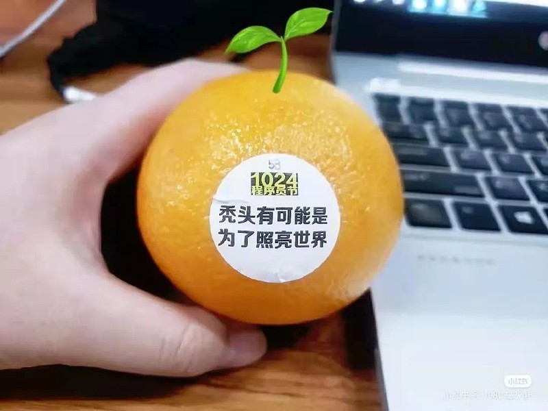 视点·观察|1024程序员节各家怎么过：送霸王洗发水、集体穿格子衫、盲人按摩