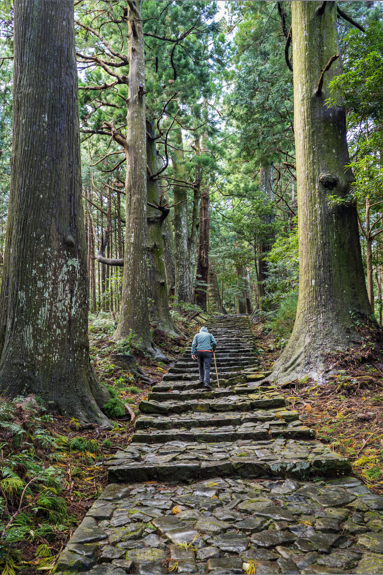 朝圣之路,另一条就是熊野古道(除因历史较短而未被列入的纪伊路)