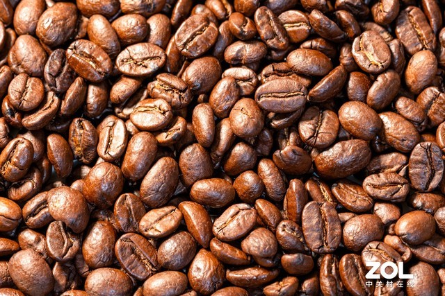 RF系列新利器 佳能RF 100mm微距评测