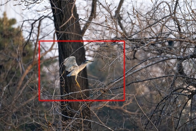 尼康Z9旗舰微单相机 诠释速度与激情