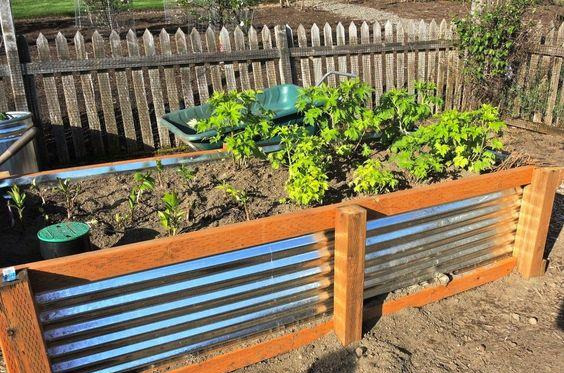 不用砖头一块块去垒 直接找4块波纹板一拼 也能做出一个花坛 凤凰网