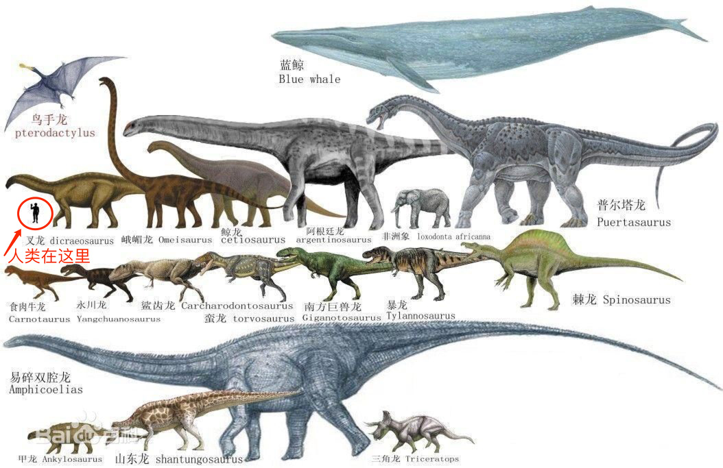 听说潍坊朋友,通勤就是靠风筝_凤凰网