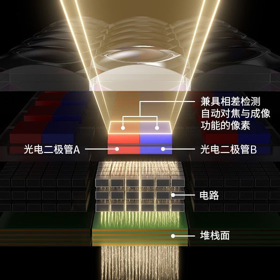 2021 LT10 | 谈佳能第二代全像素双核CMOS AF对拍摄的帮助