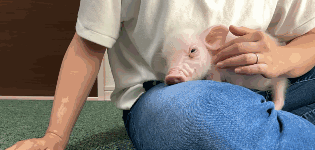 1080_513gif 动态图 动图