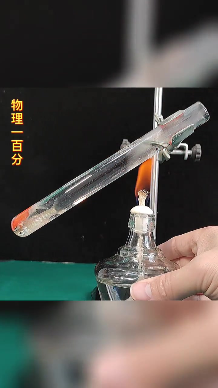 什么物理原理?#科普 #物理实验