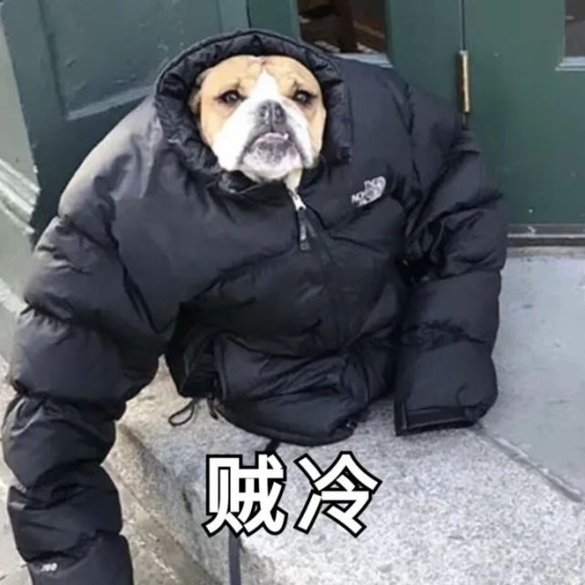 大寒小寒冻成一团 没有最冷只有更冷 虽然今天的天气还算不错 但大家