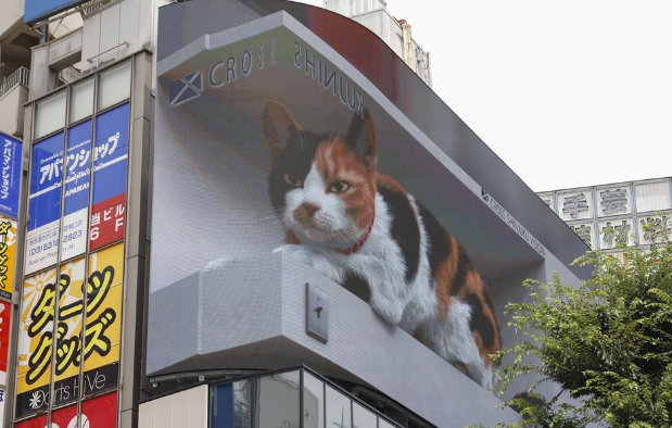 巨型3d猫咪亮相日本东京街头,十分逼真引起路人围观