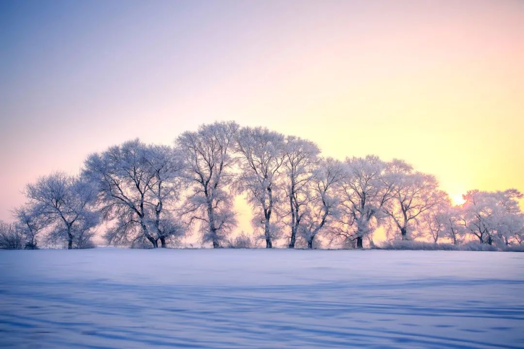 孙道绚爱雪的轻柔 它悠悠飏飏地飘来,做尽了轻洁的模样.