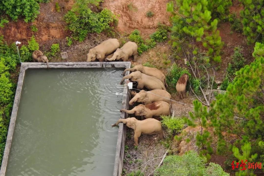 元江 北移象群南归路上最大的一道天险_凤凰网