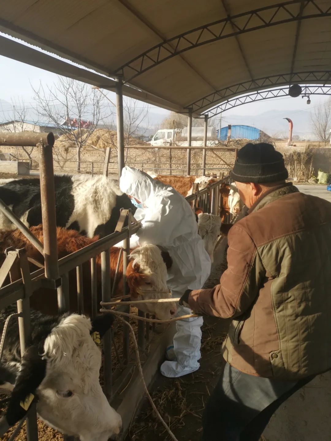 75%人类新发传染病源自动物,但中国仅10万人有兽医职业资格,且很多是