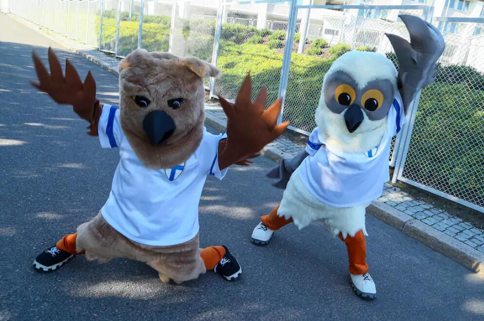 芬兰球迷打扮成吉祥物。