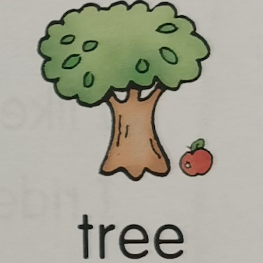 英语怎么表达我的兴趣?ride in the sun《sightwords》精读第7课