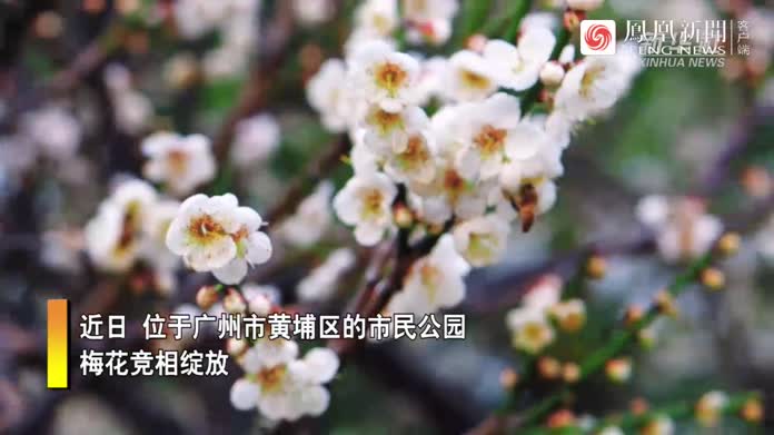 深入揭露冷战时期谍报界的风云变幻