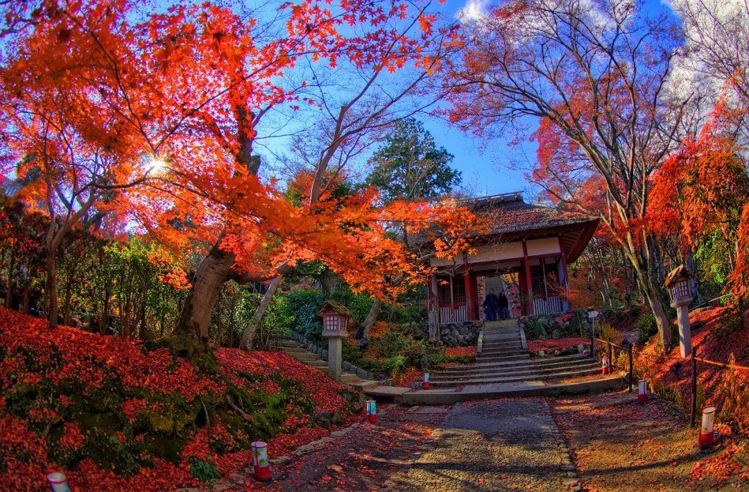 日本47个都道府县,一县一个最佳赏枫地点