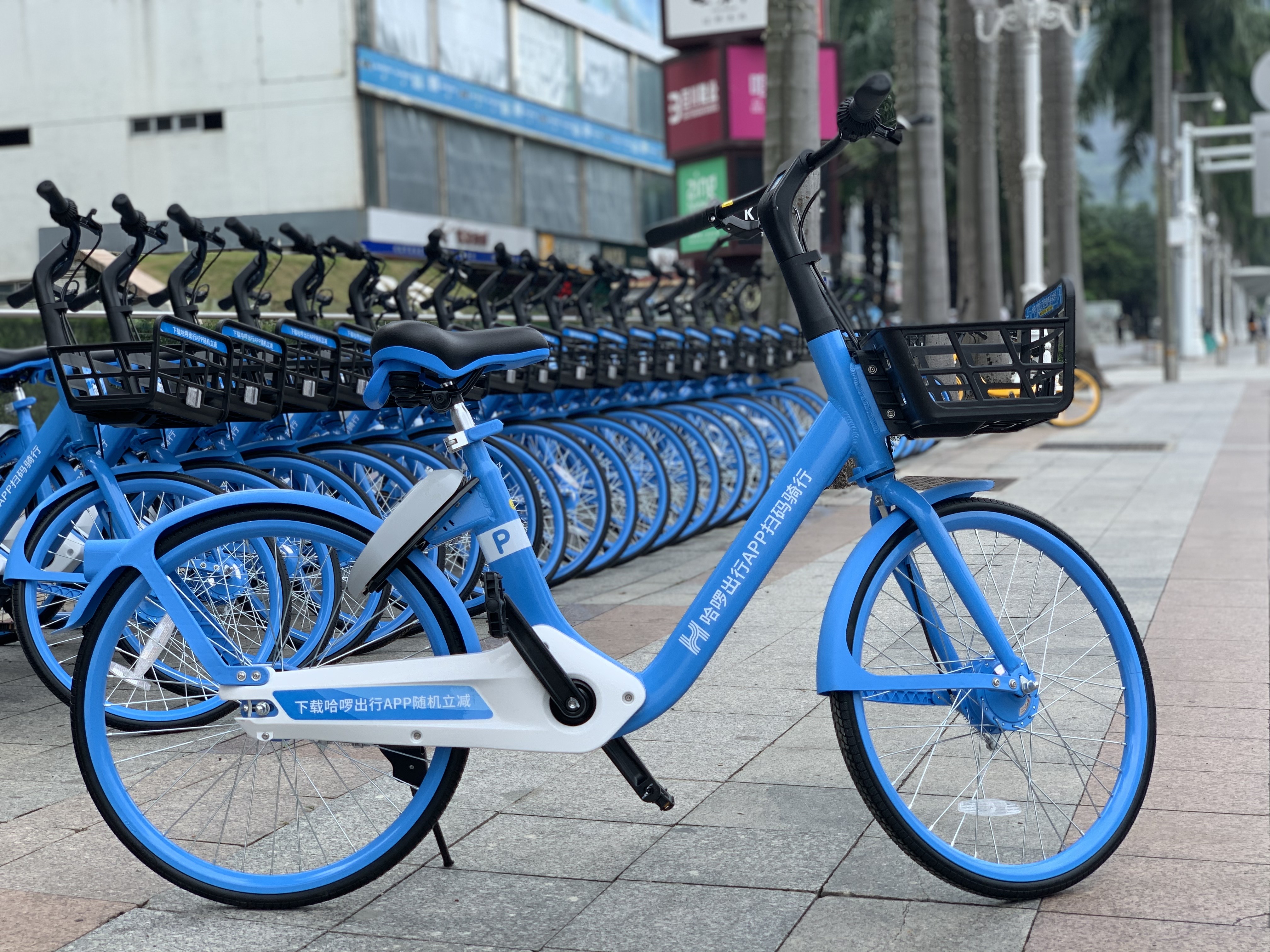 打开凤凰新闻,查看更多高清图片当堪称资本绞肉机的共享单车玩家们,在