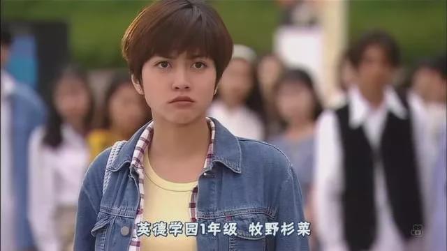 看其他版本的《流星花园》是为了看帅哥.