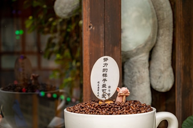 必买:从5000到20000元 尼康微单相机选购攻略