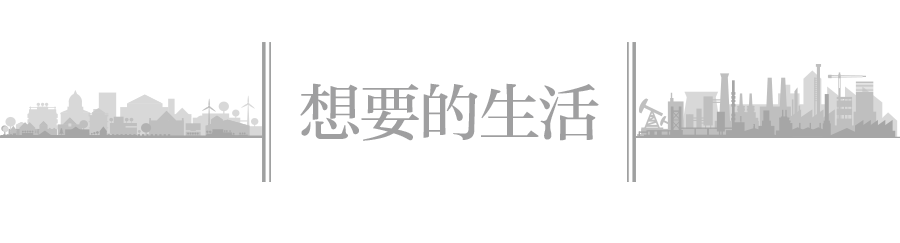 回流东北的年轻人
